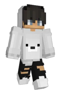 Reindijkstra Minecraft avatar full body