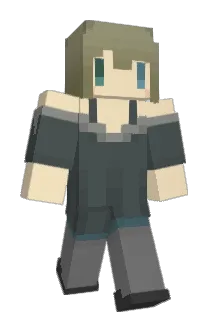 Reinforce666 Minecraft avatar full body