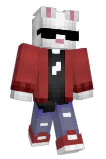 Reisnutmann Minecraft avatar full body