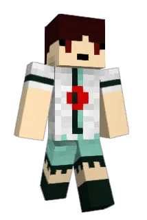 Reiuiji Minecraft avatar full body
