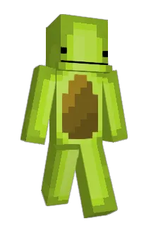 ReiviruS Minecraft avatar full body