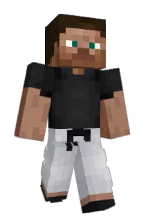 Rejsning Minecraft avatar full body
