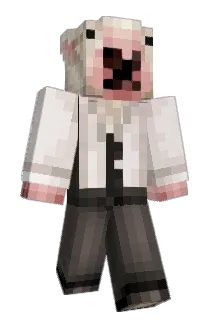 Relsan Minecraft avatar full body