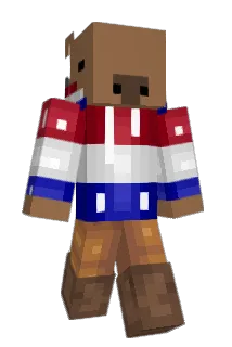 Remedicc Minecraft avatar full body
