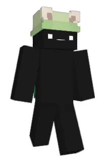 Reminter Minecraft avatar full body