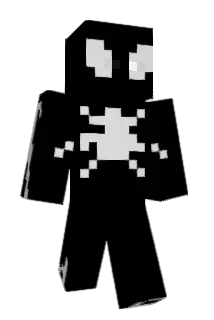 Remisjj5 Minecraft avatar full body