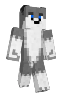 Renaan Minecraft avatar full body