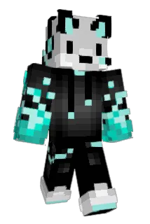 Renagaderr Minecraft avatar full body