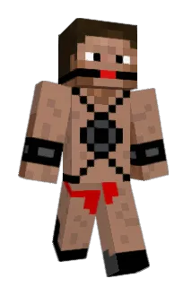 Renard8 Minecraft avatar full body