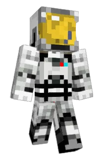 ReneRuts Minecraft avatar full body