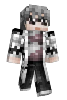 Renegade531 Minecraft avatar full body