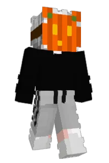 Renixity Minecraft avatar full body