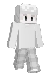 Renterq Minecraft avatar full body