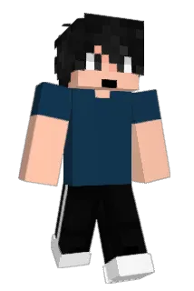 Reqt101 Minecraft avatar full body