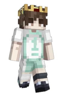 Reskvt Minecraft avatar full body