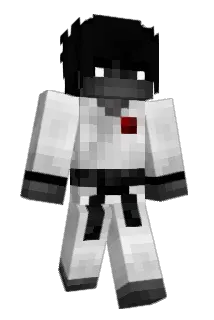 Resortments Minecraft avatar full body