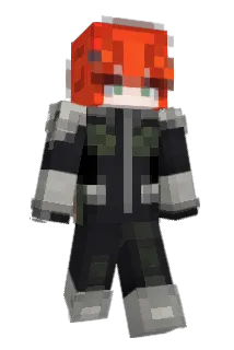 Respondents Minecraft avatar full body