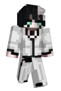 Ressing Minecraft avatar full body