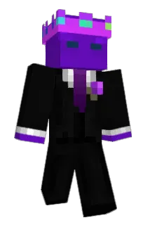 Retropalooza Minecraft avatar full body