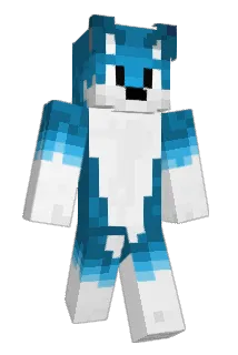 Reva_FR Minecraft avatar full body