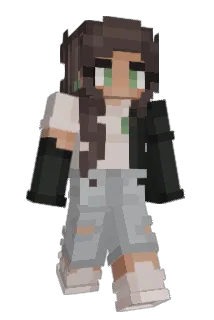 Reverrt Minecraft avatar full body