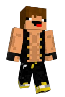 Rexelim Minecraft avatar full body
