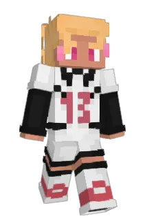 Rflxez Minecraft avatar full body