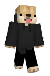 Rfty Minecraft avatar full body