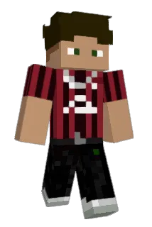 Rhizom46 Minecraft avatar full body