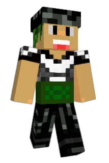 Ri81_ Minecraft avatar full body