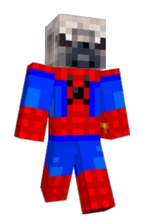 RiGuyy Minecraft avatar full body