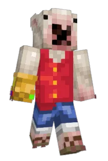 RiKoala Minecraft avatar full body