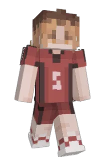 RiNar2525 Minecraft avatar full body