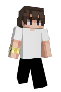 RiNuFeSa Minecraft avatar full body