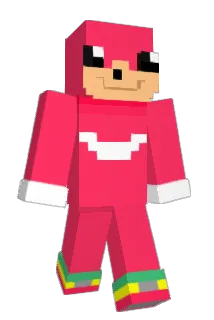 Rice317 Minecraft avatar full body
