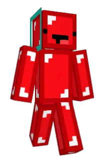 RiceBa11 Minecraft avatar full body