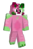 RiceCat63 Minecraft avatar full body