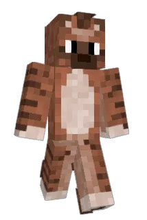 RiceMan93 Minecraft avatar full body