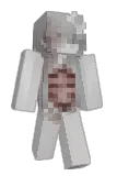 Ricebrat Minecraft avatar full body