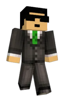 Ricedome Minecraft avatar full body