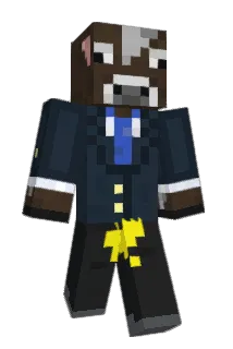Ricepaddyhat Minecraft avatar full body