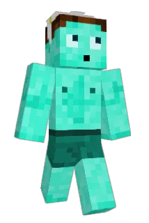 RichBroch Minecraft avatar full body