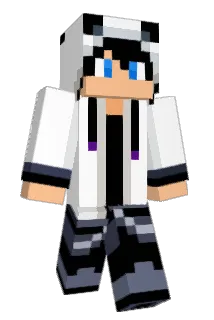RichManiac33 Minecraft avatar full body