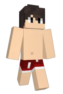 RichardX0815 Minecraft avatar full body
