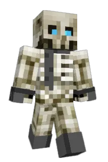 RiddlesDark Minecraft avatar full body