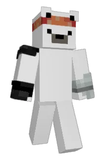 Riderhelm Minecraft avatar full body