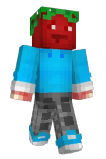 Ridikas Minecraft avatar full body
