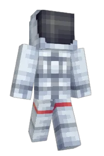 Ridwon Minecraft avatar full body