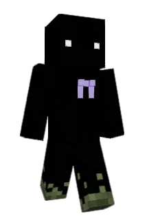 Ridy_ Minecraft avatar full body