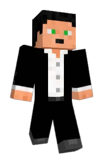 Ridzyy Minecraft avatar full body